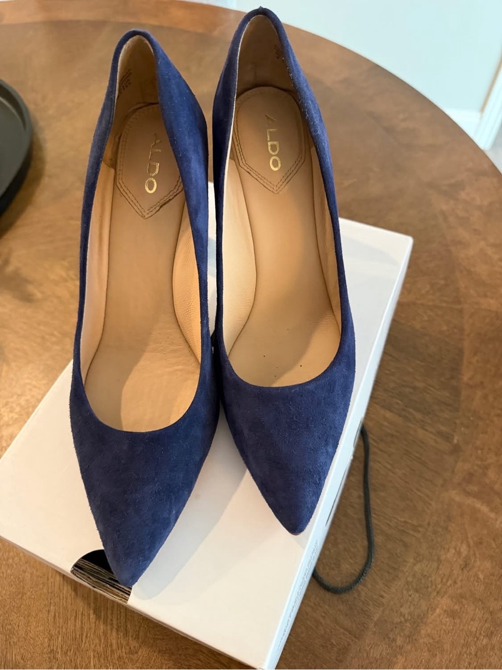 ALDO Navy Suede Pointed Toe Pumps